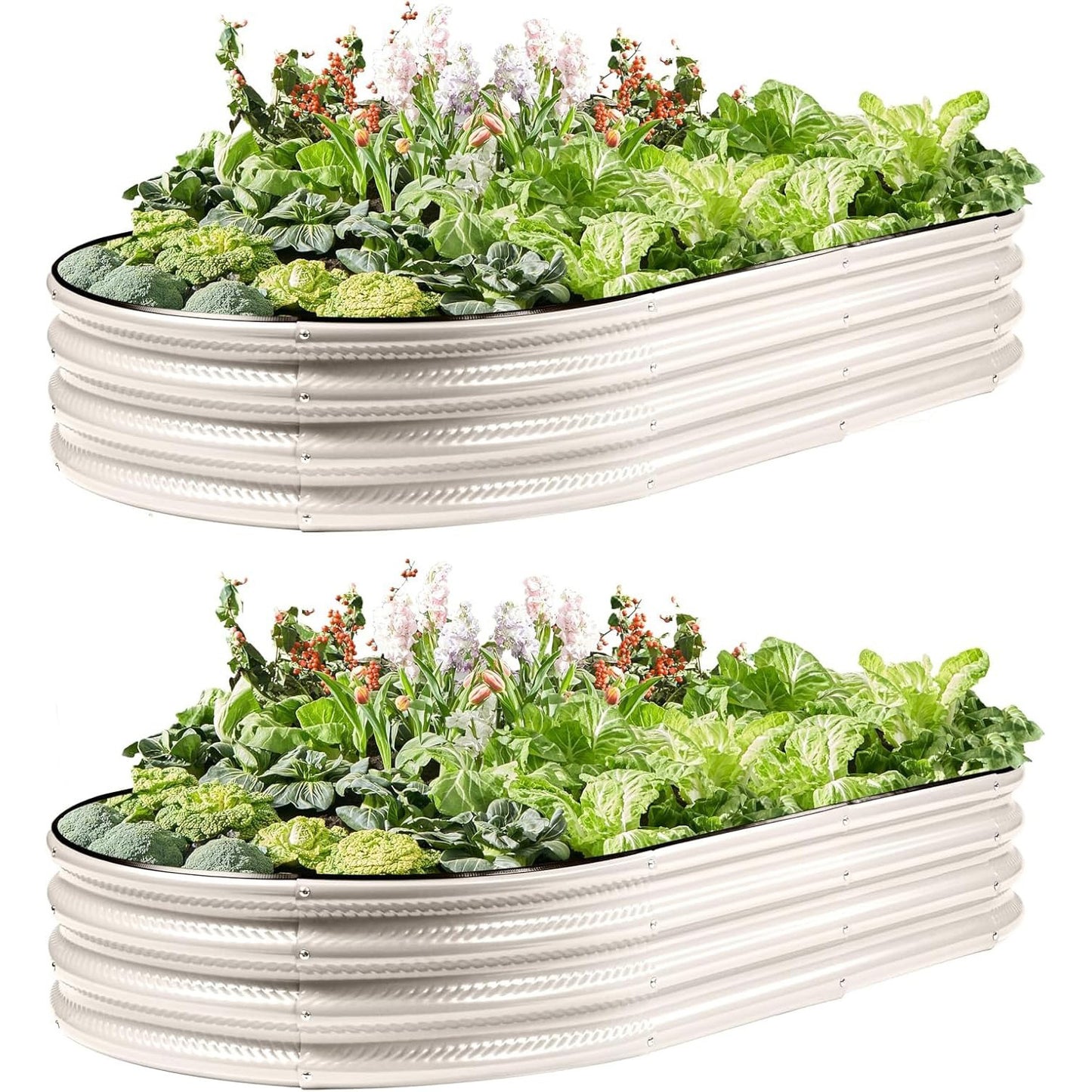 2 Pack Raised Garden Bed Kits, 4x2x1FT Cream White Oval Galvanized Outdoor Planter Beds, Easy Assembly Metal Raised Bed for Vegetables, Flowers & Herbs